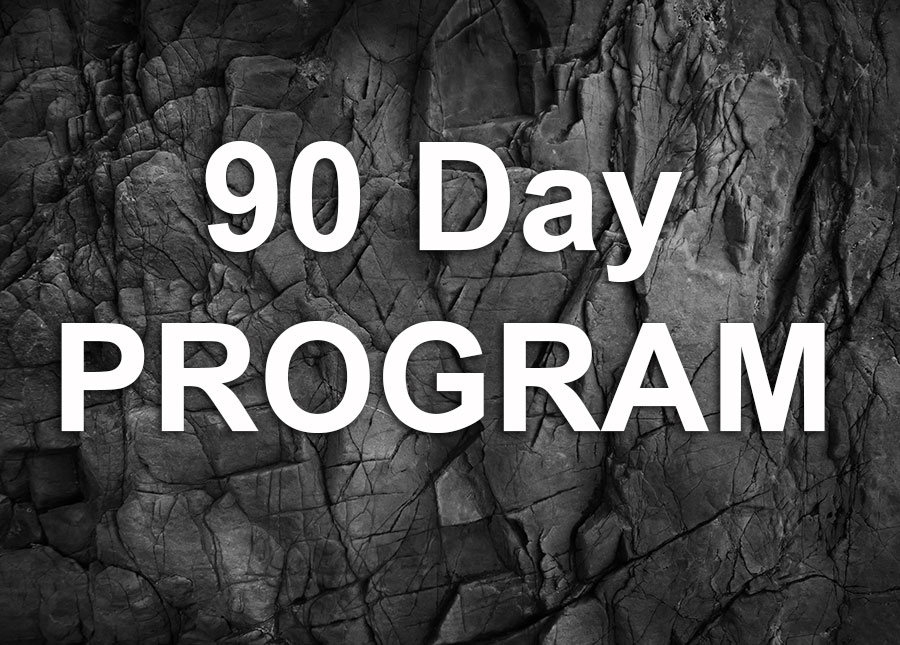 90-Day-Program.jpg