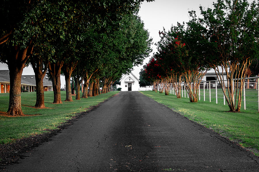 robs-ranch-90.jpg
